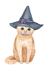 Watercolor illustration with cute spotted cat in funny hat. Pet and Halloween party