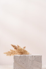 Minimal concrete stone podium for branding and packaging presentation. Textured stone on white background with dry flowers