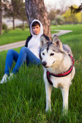 Young woman sitting in the grass after walking with her pet husky dog on sunny spring day