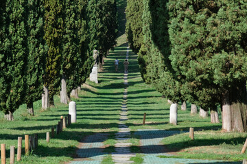 Il Viale dei Cipressi di Inverigo in provincia di Como, Lombardia, Italia. © Fabio Caironi