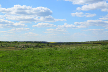 Beautiful landscape with green grass on sunny day