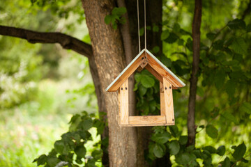Birdhouses and bird feeder in the forest on a blurry background of greenery. Save birds. Bird feeding