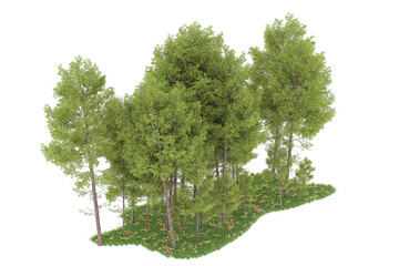 Forest on transparent background. 3d rendering - illustration