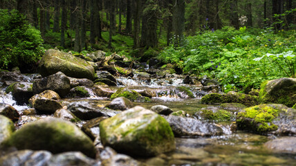 Fototapeta na wymiar Small stream in the middle of amazing nature. Relax and free time. 