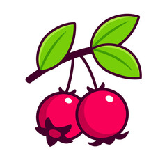 Murta or Chilean guava berries