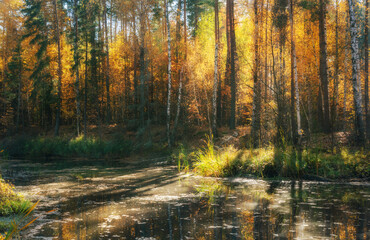 Early morning on the lake in the autumn forest