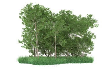 Forest on transparent background. 3d rendering - illustration