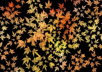 Trees shed their colorful leaves. Illustration for background, wallpaper et al. 