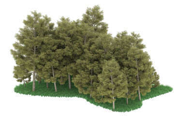 Forest on transparent background. 3d rendering - illustration