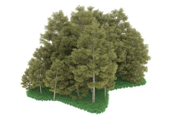 Forest on transparent background. 3d rendering - illustration