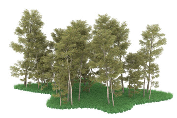 Forest on transparent background. 3d rendering - illustration