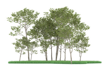 Fototapeta na wymiar Forest on transparent background. 3d rendering - illustration