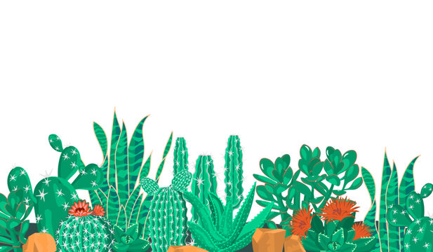 Horizontal banner with cacti and succulents.Floral background with space for text.Organic print on fabric and paper.Vector template for design card ,poster.Flat cartoon realistic illustration.
