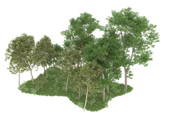 Forest on transparent background. 3d rendering - illustration