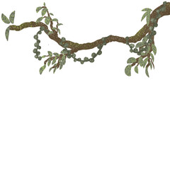 Forest decoration element transparent background