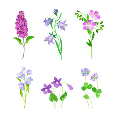 Set of wildflowers. Delicate blooming plants for floristry, fabric, textile, postcard design cartoon vector illustration