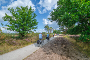 Tongerense heide,  Epe, Gelderland province, The Netherlands