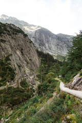 stream in the mountains