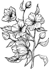 Drawn silhouette of a flower branch. Bloom. Branch. Ink. Spring. Flowers on a branch. Element for decoration.