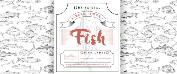 Fish vector design of packaging or label. Modern printed seafood background, vintage sketch of fish seamless pattern.
