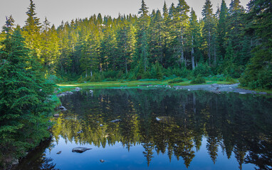 A misty morning at a small lake with stones and trees in the foreground and the forest in the background.
