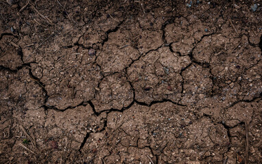 Draught background. Dried cracked surface of agricultural field, view from above