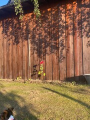 person riding a bicycle