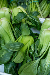 Fototapeta premium Fresh green chinese cabbage pak choi for sale on market