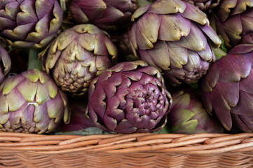 Fototapeta premium Heads of fresh organic artichoke flowers, edible vegetables purple romanesco artichokes
