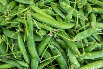 Ripe young green sweet garden peas legumes