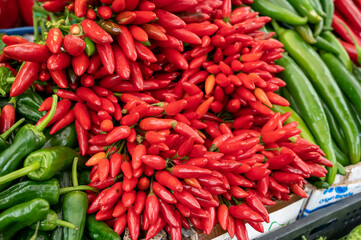 Bunches of red hot chili peppers for sale on market