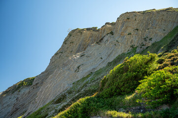Fototapeta premium View on steeply-tilted layers of flysch on Atlantic coast at Zumaia at low tide, Basque Country, Spain