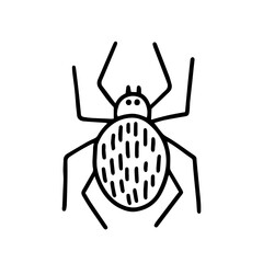 Doodle cute spider illustration. Vector hand drawn spider illustration