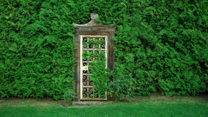 Fototapeta na wymiar door in the garden