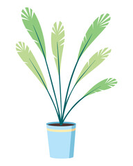 Modern office interior element. Palm tree in pot or vase. Business concept. Vector illustration in flat cartoon style