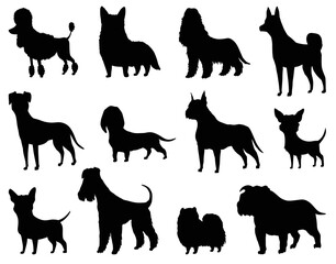 Dogs silhouette set of different breeds. Side view pet stand icon in black color. Make used for dog show, competition, pet store, guide dog. Domestic animal isolated on white background