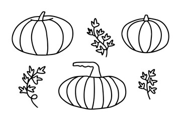 Doodle vector pumpkin illustration set, Hand drawn pumpkins isolated on white background.