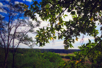 Landschaft