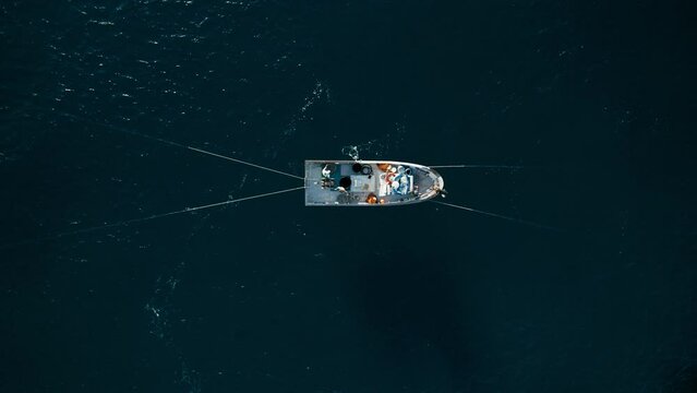 Top view on boat trawler with fishermen on board preparing to pull out netting bags with sardines. Static aerial center shot 