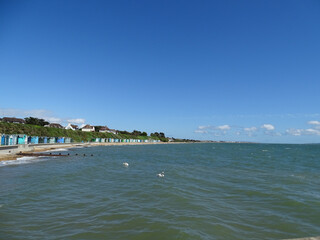 Panorama of colorful beach huts, in Lee on Solent in Hampshire, blue sky with little cloud, two swans bobbing about in the green sea in foreground