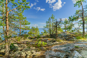 Beautiful stones and pine trees on the lake. Landscape of wild nature.