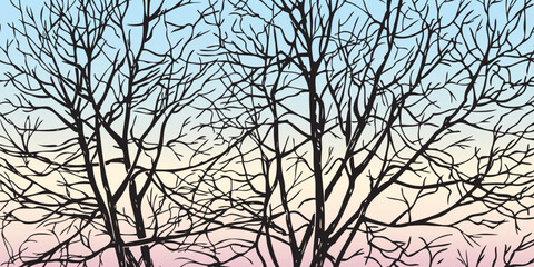 Silhouettes of drawn trees branches against morning sky background