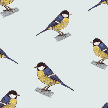 Seamless background of drawn bird titmouse