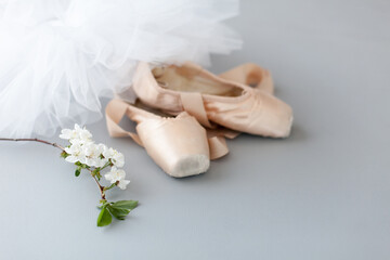 Ballet pointe shoes and white tutu skirt on floor with blooming sakura flowers. Concept of dance, spring, ballet school, ballerinas clothes, stuff and things