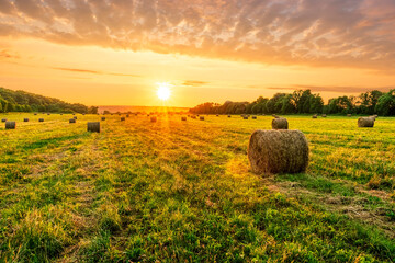 Scenic view at beautiful spring sunset in a green shiny field with green grass and golden sun rays, amazing sky on a background , summer valley landscape