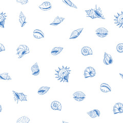Obraz premium Seashells pattern. sketch style. set of vector illustrations