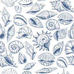 Seashells pattern. sketch style. set of vector illustrations