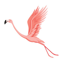 Pink flamingo. Exotic tropical bird character. Isolated wildlife animal. Nature wild fauna. Cute african bird flying © the8monkey