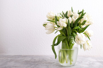 Bouquet of white tulips in a vase against white wall copy space