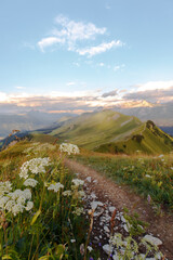 Mountains around Fronalpstock